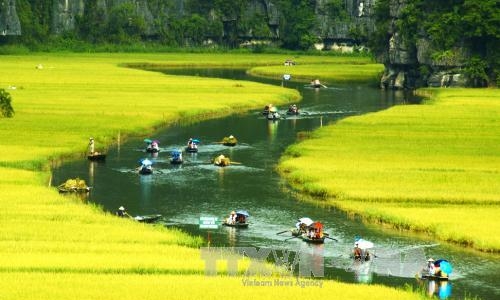 Ngày đầu công chiếu, 'Kong: Island' lập kỷ lục doanh thu